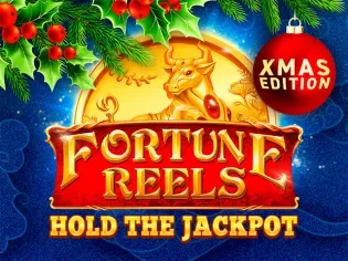 Fortune Reels Xmas screenshot